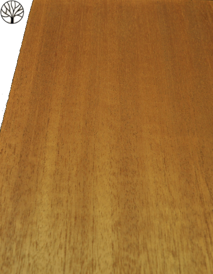 Här är en bild på Khayaträ