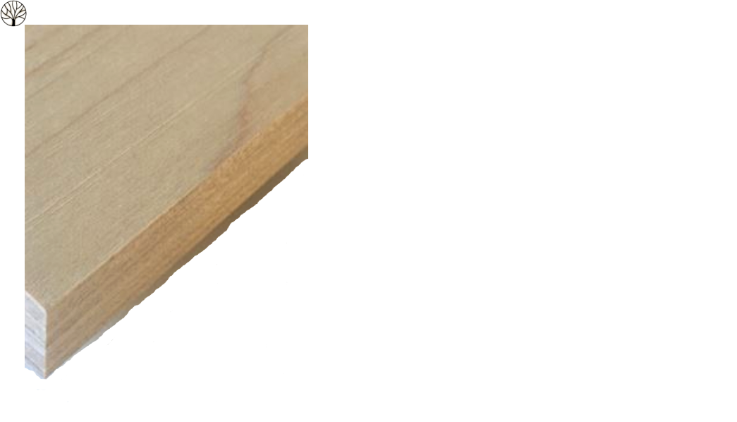 Det här är en bild på träslaget Lönn