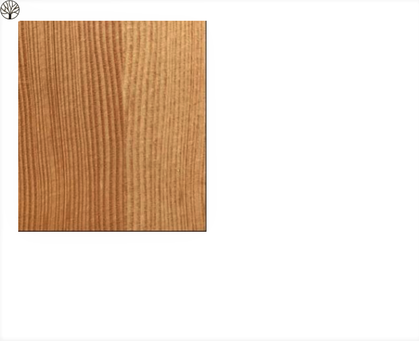 Oregon Pine